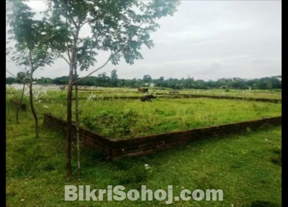 5 katha ready land in hemayedpur,Dhaka